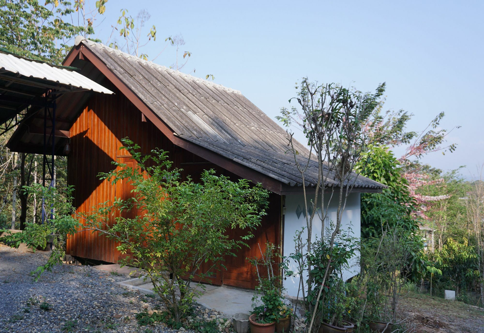 נאן Settee Homestay מראה חיצוני תמונה